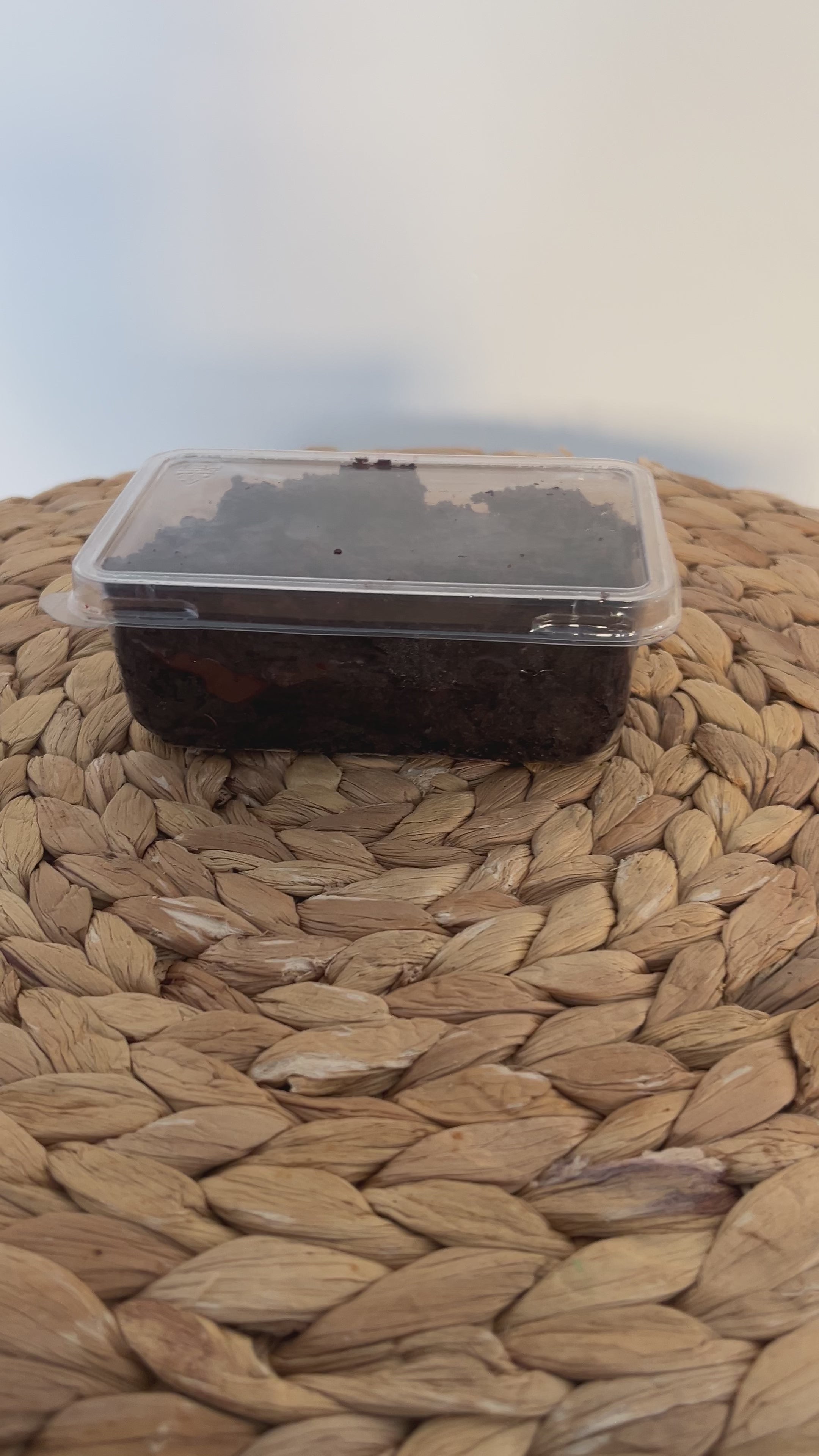 postal cake slices